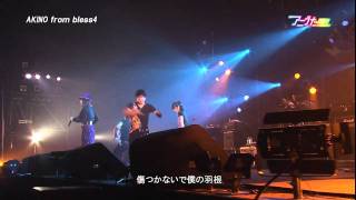 LIVE アニうた KITAKYUSHU 2011 AKINO from bless4 [upl. by Angeli]