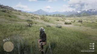 Red Dead Redemption 2  RDR2  BLACKTAILED JACKRABBIT  LOCATION  ZOOLOGIST 119  SKIN DEEP [upl. by Bred]