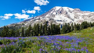 Mt Rainier Day Trip from Seattle Washington [upl. by Merfe172]