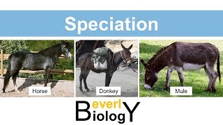 Species and Speciation updated [upl. by Maxim]