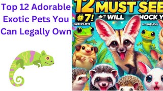 quot12 Adorable Exotic Pets You Can Legally Own – 7 Will Shock Youquot [upl. by Idleman]