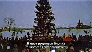 „Im Walde steht ein Tannenbaum“ В лесу роди́лась ёлочка russisches Weihnachtslied [upl. by Hajin698]