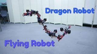 The Dragon Robot  Flying Robot  RoboMaker [upl. by Odette]