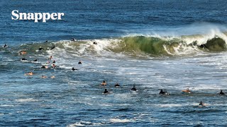 Snapper Rocks Funsize Walls [upl. by Viv474]