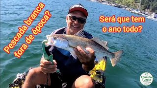 Será que tem pescada branca o ano todo Pescaria ultra light top angradosreis pescadecaiaque [upl. by Greggory]