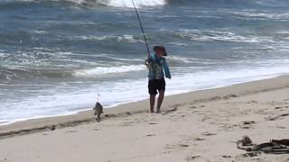 JC with Steenbras caught at Torra Bay Skeleton Coast  Namibia [upl. by Ricki530]