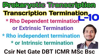 Prokaryotic transcriptionL10 mechanism of termination Rho Dependent amp Rho independent termination [upl. by Searby]