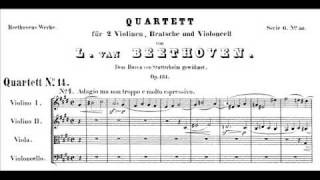 Beethoven  String Quartet op 131  Last 2 movements [upl. by Enella127]