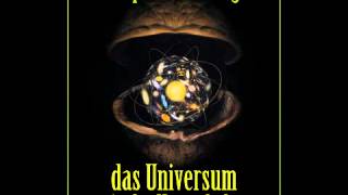 Das Universum in der Nussschale  Hörbuch [upl. by Haeel]