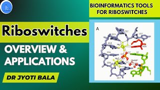 Riboswitches Overview amp Application Role of Bioinformatics in Riboswitch research for Biotech [upl. by Bugbee]