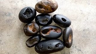 Shaligram shila  different kinds of 9pic shaligram [upl. by Schram]