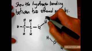 Hydrogen bonding in ethanol walkthrough [upl. by Smoot]