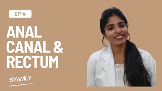 Learn About The Anatomy Of The Anal Canal And Rectum In This Educational Video [upl. by Noissap]