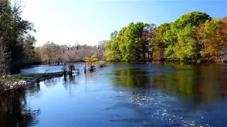 Suwannee River Sill Okefenokee National Wildlife Refuge [upl. by Simdars]