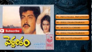 PeddarikamAudio Songs JukeboxJagapati BabuSukanyaRajKotiA M Rathnam [upl. by Imhskal]