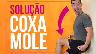 🌟 RECUPERE suas COXAS treino FÁCIL na PAREDE  Exercícios para Iniciantes  Aurélio Alfieri [upl. by Bubb]