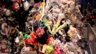 Hyperbolic Crochet Coral Reef at Smithsonian with Grandmother [upl. by Call]