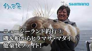 【釣り百景】520 ニュージーランド釣行③ 磯＆船からヒラマサ・マダイ他豪快ファイト！ [upl. by Eng]