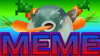 Pufferfish Eating A Carrot Meme Compilation [upl. by Ennail]