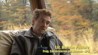 En la Senda del Huemul  Documental [upl. by Groscr382]