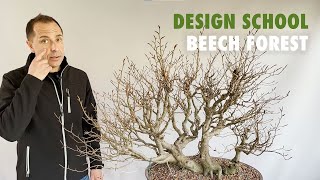 Design School  Beech Forest bonsai Fagus Sylvatica [upl. by Philana]