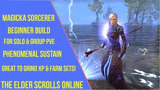 ESO Magicka Sorcerer Beginner PVE Build [upl. by Notseh]