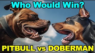 PITBULL vs DOBERMAN Compare  Which dog breed is better [upl. by Nosille]