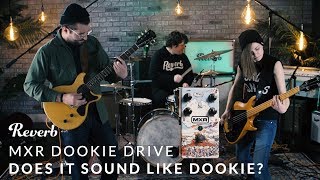 MXR Dookie Drive Does It Sound Like Dookie  Reverb Live Band [upl. by Acinnor]