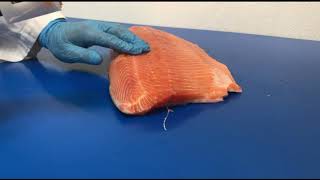 STEEN ST591 Salmon pinbone remover [upl. by Asenev]