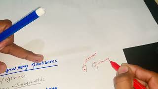 Bioassay of antibiotics [upl. by Arreic]