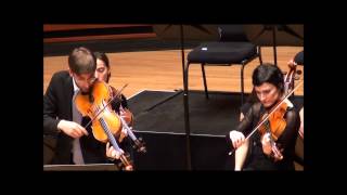 Telemann double viola concerto pour deux altos [upl. by Ahsemad]