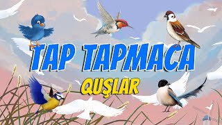 TAP TAPMACA Quşlar [upl. by Matthia]