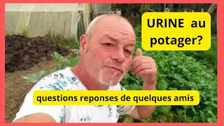 Fautil utiliser lurine au potager  comment récolter vos graines de courgettes [upl. by Aloysius]