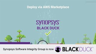 Black Duck SCA amp Coverity Static Analysis SAST Integrations with Amazon AWS CI Tools  Synopsys [upl. by Merchant6]