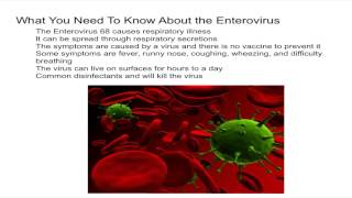 What You Need to Know About the Enterovirus [upl. by Latoniah]