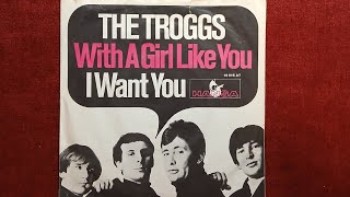 THE TROGGS  WITH A GIRL LIKE YOU 1966 [upl. by Naujad597]