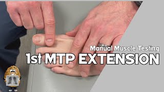 MMT 1st Metatarsophalangeal MTP Joint Extension Manual Muscle Test [upl. by Ludly]