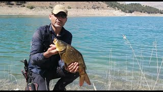 Keban Barajı Sazan Avı ve Kamp Sazan balığı nasıl yakalanır Carp fishing [upl. by Charmion749]