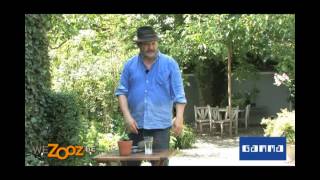 Fuchsia stekken  Tuinvideos  GAMMA België [upl. by Anifesoj]