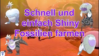 Schnell einfach und günstig Shiny FossilienPokemon farmen  Pokemon Schwert und Schild [upl. by Belford]