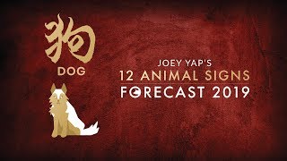 2019 Animal Sign Forecast DOG Joey Yap [upl. by Nikaniki]