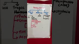 Pituitary hormonespituitary hormones pituitarygland hormonebiochemistry [upl. by Roye]