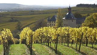 Explore Wines of Germany Rheingau [upl. by Waters]