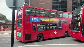 Buses at West Croydon Bus Station  Tuesday 19th September 2023 [upl. by Yerfej521]