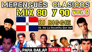 MERENGUES MIX BAILABLE CLASICOS DE LOS 80 Y 90 VOL 6 DJ BIGGIE merengueclasico merenguemix [upl. by Coffin242]