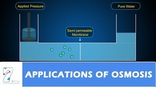 APPLICATIONS OF OSMOSIS [upl. by Buddie]