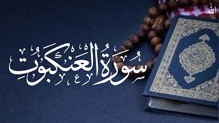 SurahAlAnkaboot beautiful quran recitation عارض الحدودی ⭐🕯️ [upl. by Novyar939]