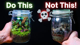 Terrarium How to create a mini ecosystem inside the Jar Basics [upl. by Hulen766]