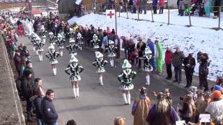 Garde Grün Weiß  Wikinger  Bühlerzell Umzug 14022015 3 [upl. by Aicerg162]