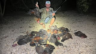 Hunting Wild CHICKENS With AIRGUNS Catch Clean Cook On An ISLAND [upl. by Nyrroc467]